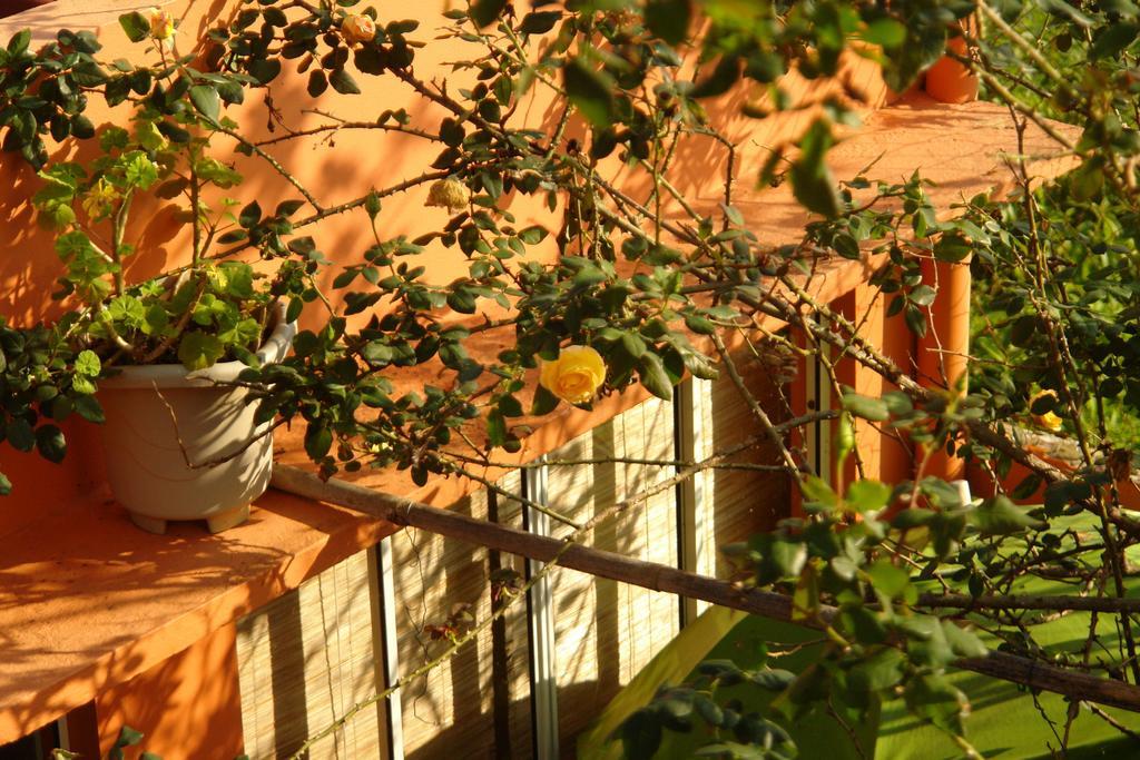 Recanto Dos Bambus Florianópolis